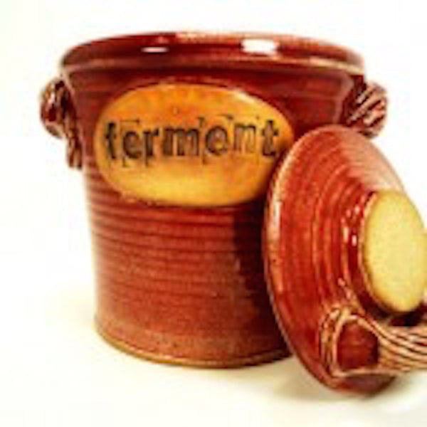 HandThrown Fermenting Crock FARMcurious