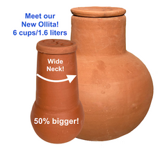 Olla - An Ancient Water-Conserving System