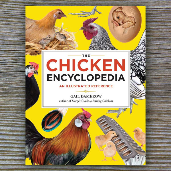 The Chicken Encyclopedia - Book by Gail Damerow