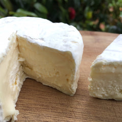 Brie-Making Bootcamp, a Multi-Day Follow-Along Virtual Event (FAVE)