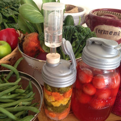 Explore The Fantastic World of Fermentation - Jan 9, 2022