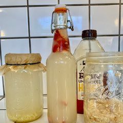 Homemade Fermented Beverages, a Follow-Along Virtual Event (FAVE)