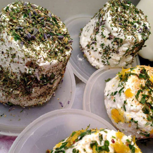 Fancy homemade goat cheeses