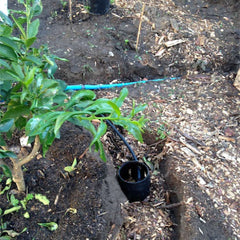 Piping in garden for greywater system