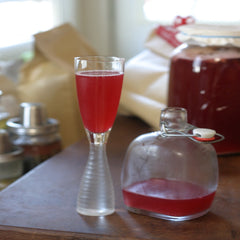 Explore the World of Fermented Beverages - Dec 10, 2017