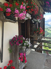 An Alpine Cheese Party - Learn about our upcoming trip to the Alps!