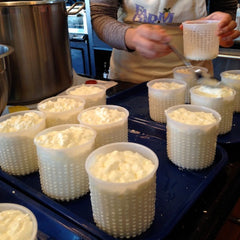 Full Day Cheesemaking Boot Camp: Learn 7 Cheeses in One Day!