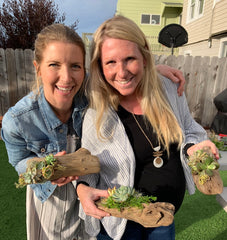 Craft Your Own Driftwood Succulent Planter