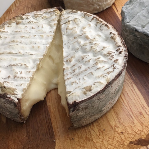 Spruce Bark Cheese Wrap - 6-pack
