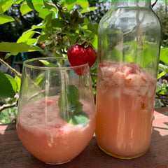 Homemade Fermented Beverages, a Follow-Along Virtual Event (FAVE)