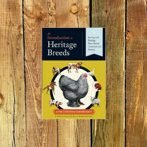 An Introduction to Heritage Breeds: Saving and Raising Rare-Breed Livestock and Poultry - Book by D. Phillip Sponenberg and Jeannette Beranger