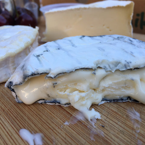 Hands-On Brie/Camembert-Making with Cheese Tasting & Wine Pairing